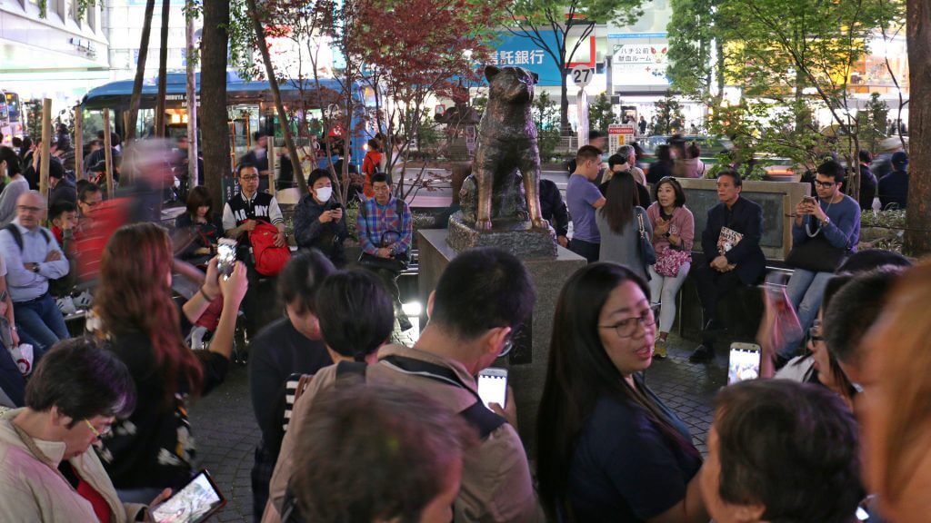 Hachiko a hűség jelképe a turisták körében is népszerű